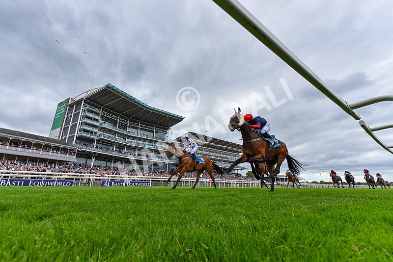 130626-Race 1-Dunkeld Dreamer-0268 - Race 1 13.50pm Queen Mother's Cup Handicap