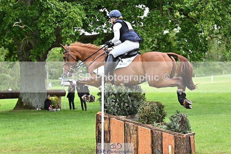 240525-160922-17462 - 251-MILESTONE_GOLD-Gaby_Bull