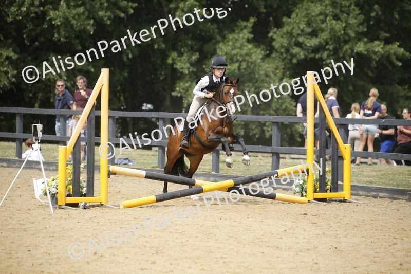 20250622-4598 - 50cm