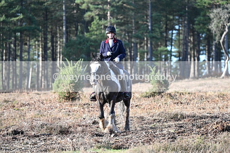 WJ7_7292 - Line 3 (no line 4 or 5)