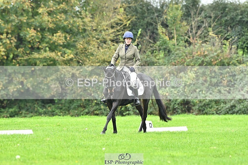 241024-134613-04197 - 329-Lisa.Donner-NOTNOWBABE