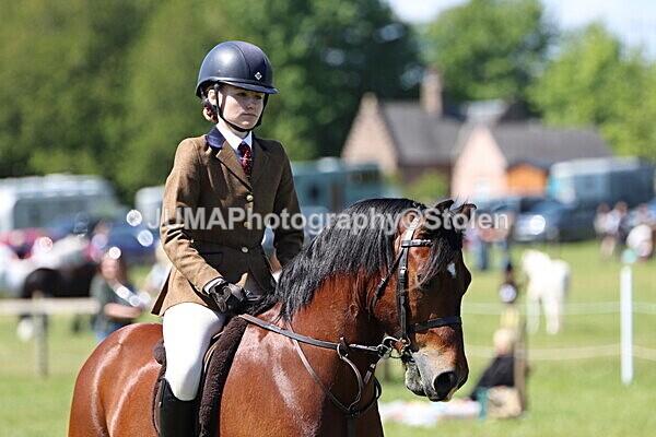 IMG_3883 - Working Hunter