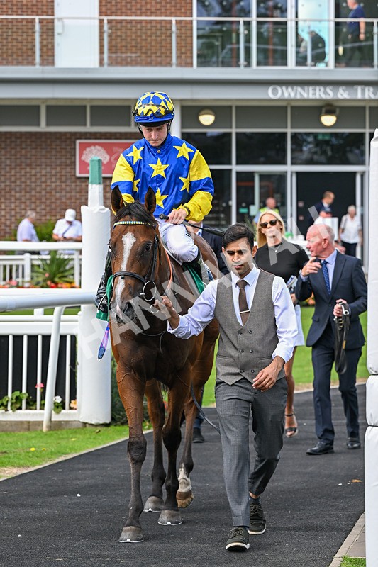 140926-Race 3-Majestic Jude-7139 - Race 3 3.21pm British Stallion Studs EBF Novice Stakes