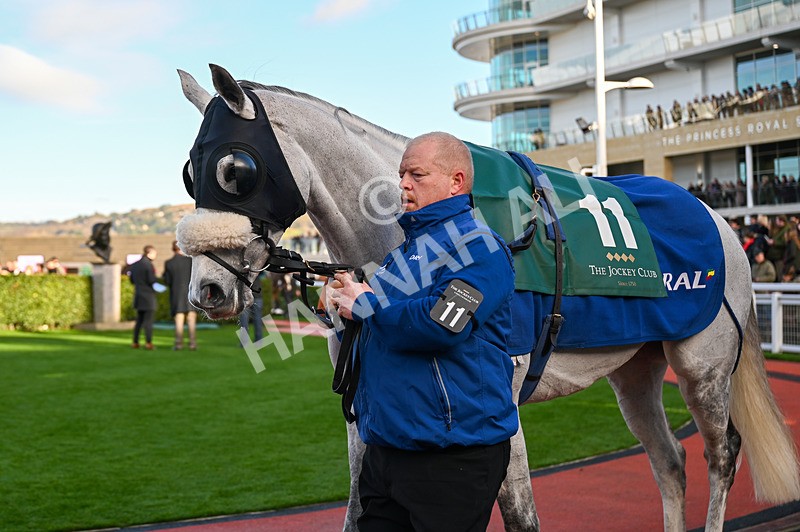 141224-Race 3-So Said I-0470 - Race 3