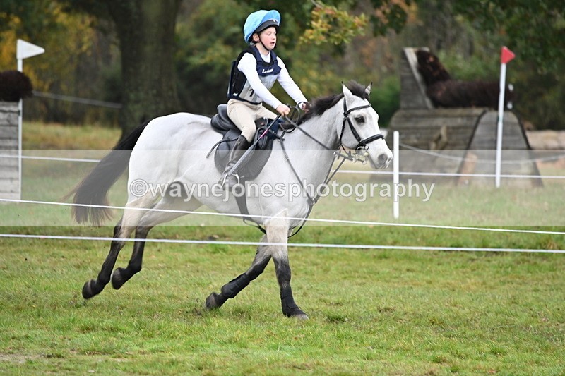 WJ6_2237 - 80cm Cam 1 Time 10:47 to 11:22