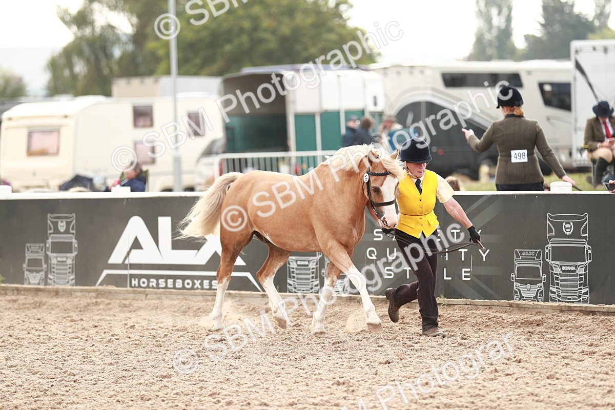 SBM_12435 - Class 207 IH M&M