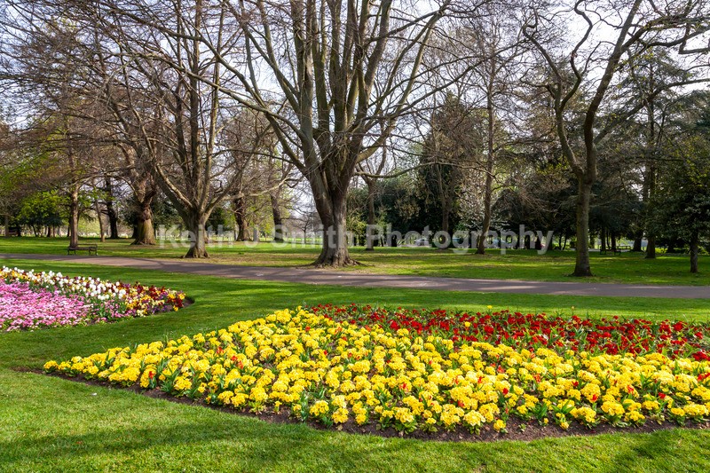0SKJ5486 - Trees in Abington Park