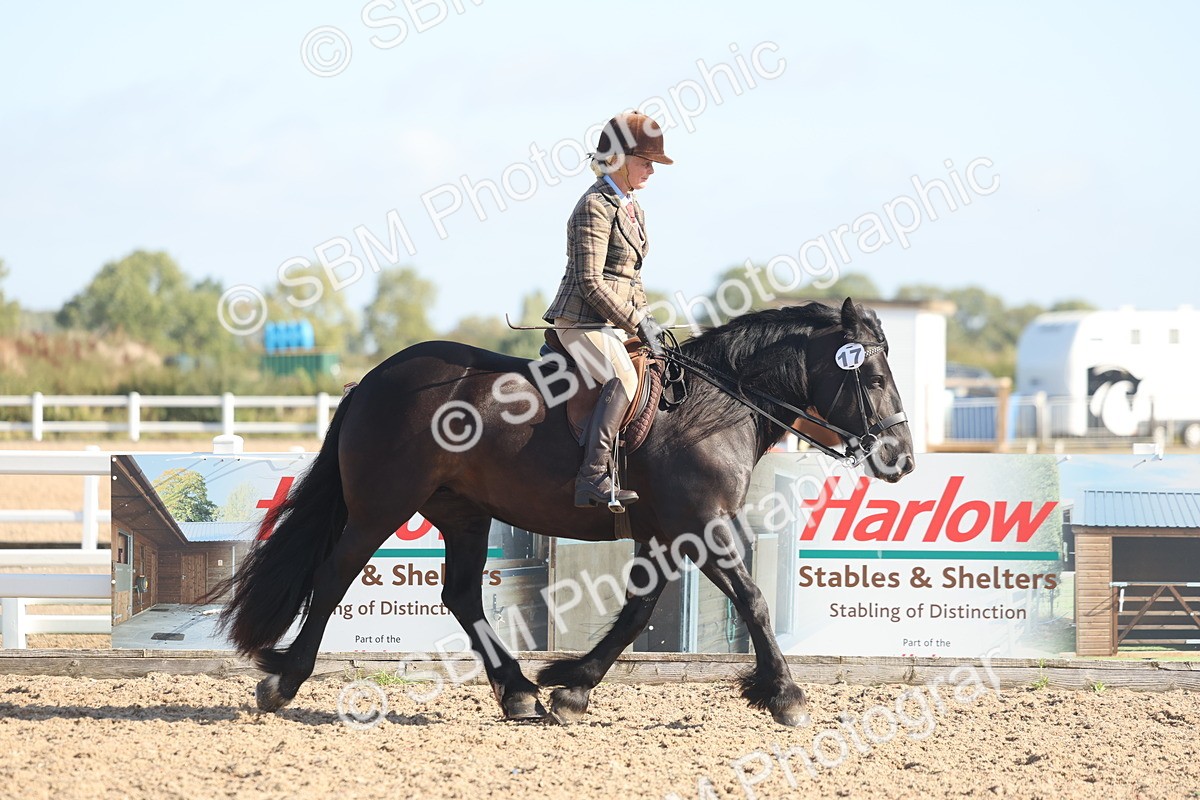 SBM_22284 - Class 803 - Ridden Combination 65+