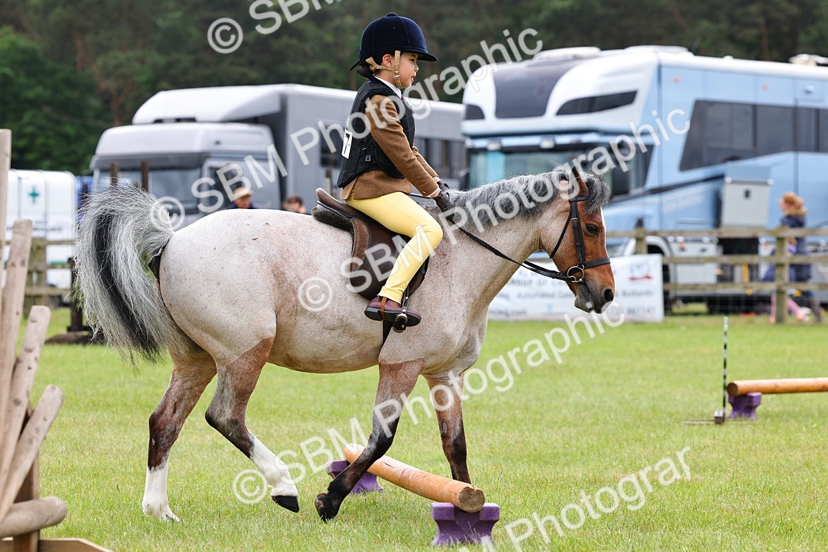 SBM_08599 - Class 42-43 - LIHS BSPS Heritage Working Sports Pony
