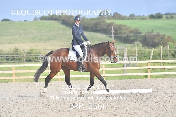 BPP_5500 - INTRO TEST 3