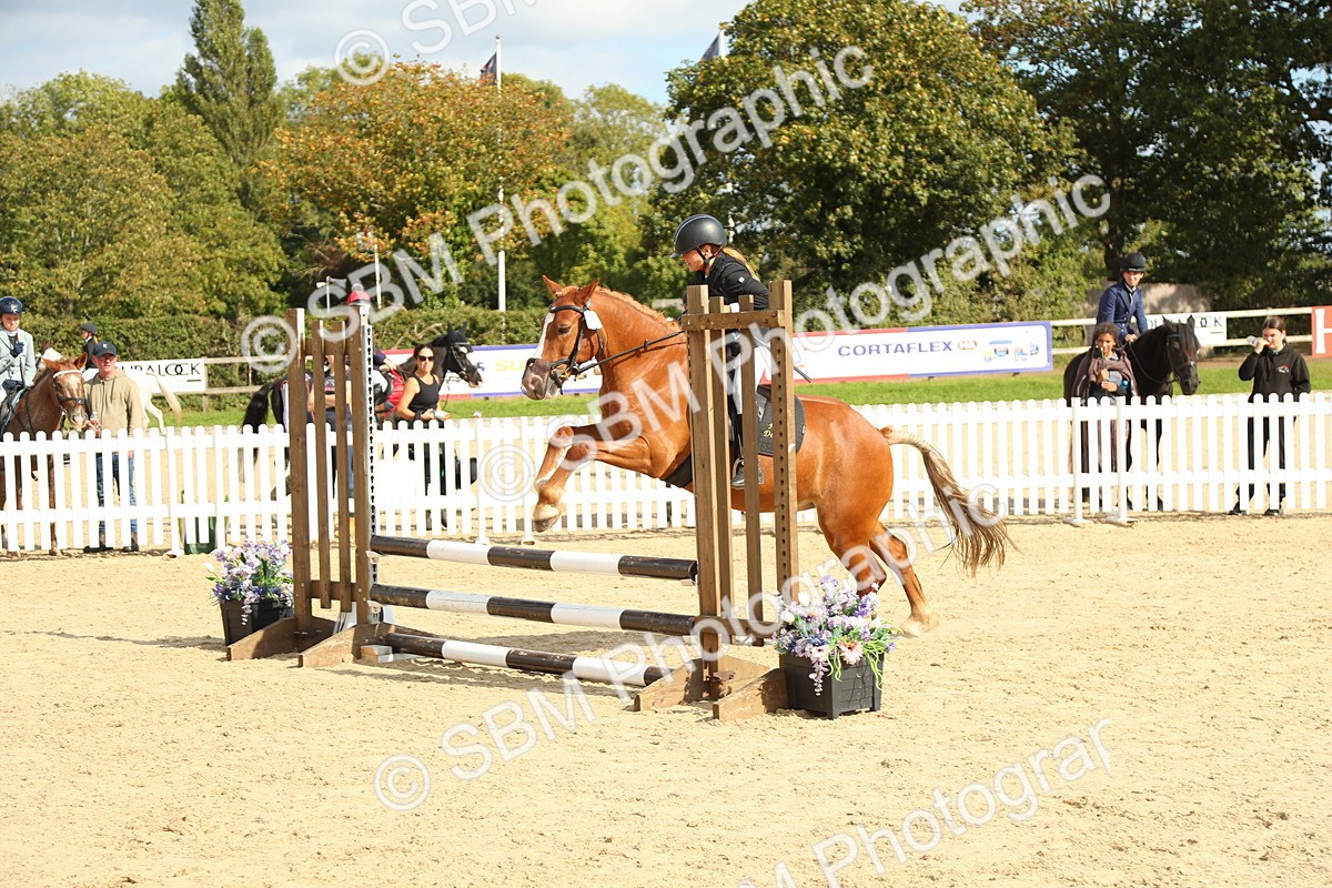 SBM_46652 - J7 - Junior Pony 60cm Championship