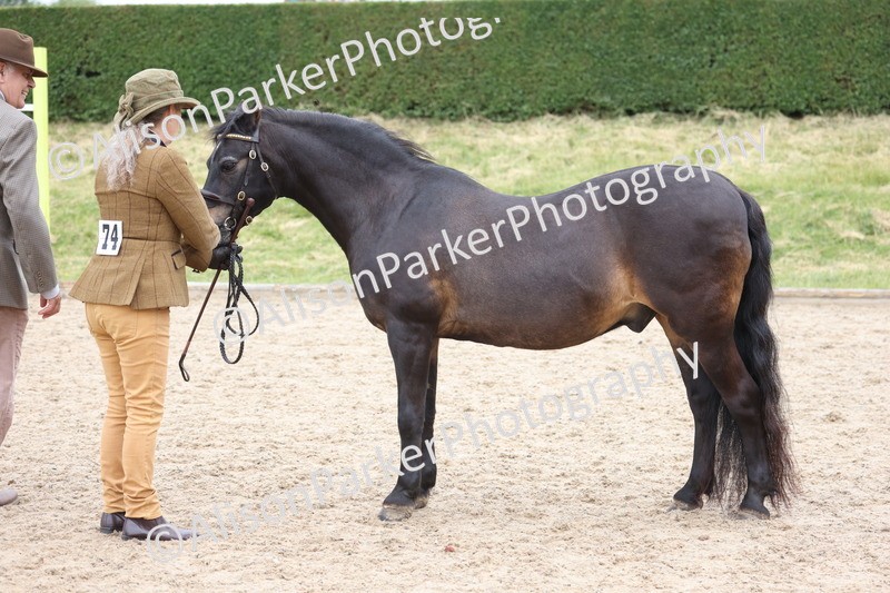 20250524-0784 - Class 7 - Veteran