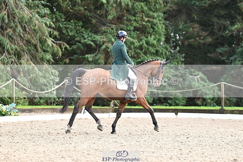 251023A-140732-05155 - C-244-Patrick.Whelan