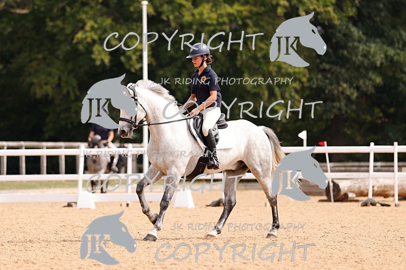 _R6A2771 - Dressage Morning
