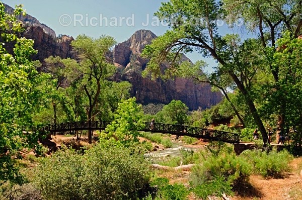 On The Bridge - Zion National Park