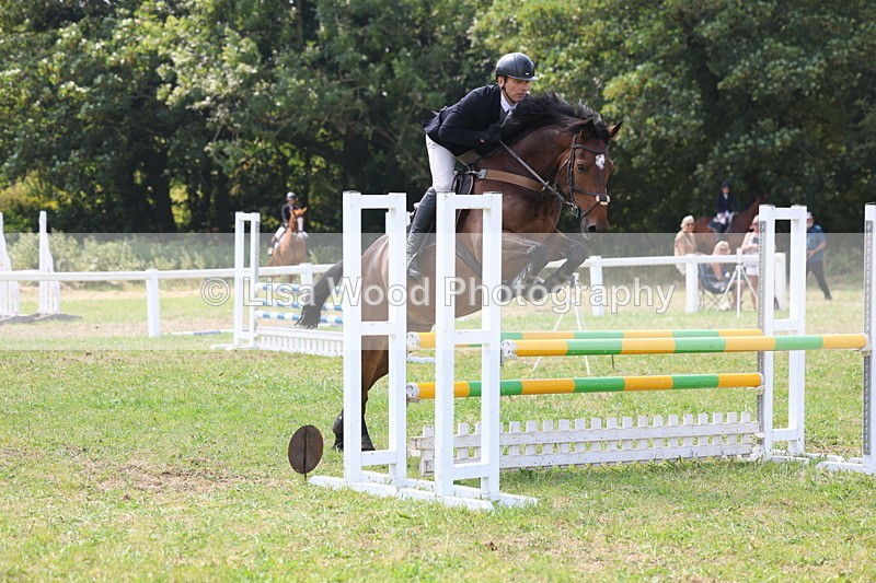 3E7A2887 - Class 7: Senior British Novice/90cm open