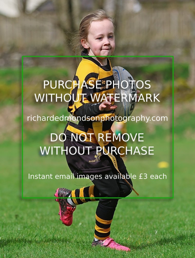 533A5099 - Kendal Rugby Under 7's (12/4/26)