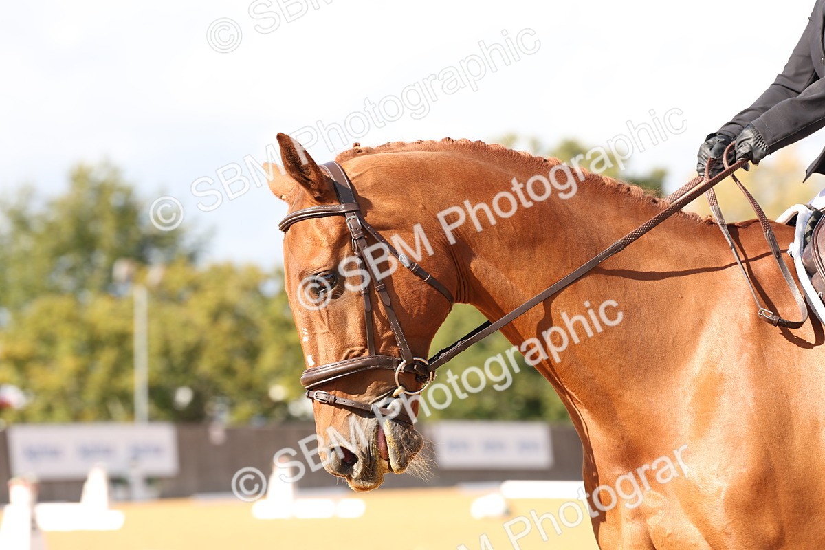 SBM_24578 - D17 - Grand Tour Championship Novice 3