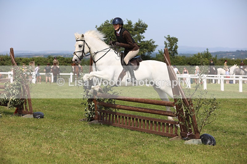 JPP_3703 - Class 23: Working Hunter 80cm