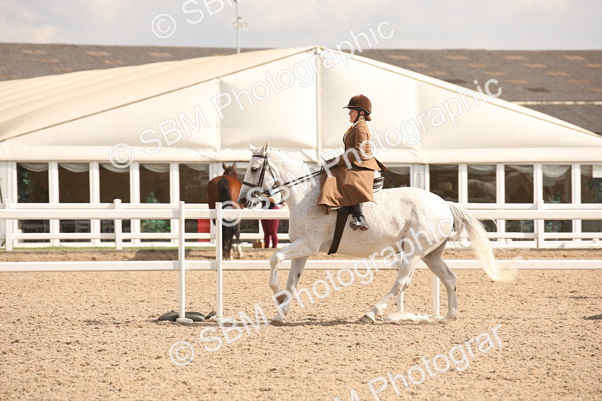 SBM_06727 - Class 24 Concours d'elegance