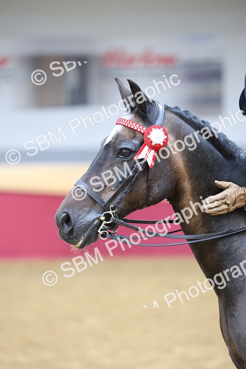 SBM_23601 - Class 904 - Supreme Final - Ridden Diamond