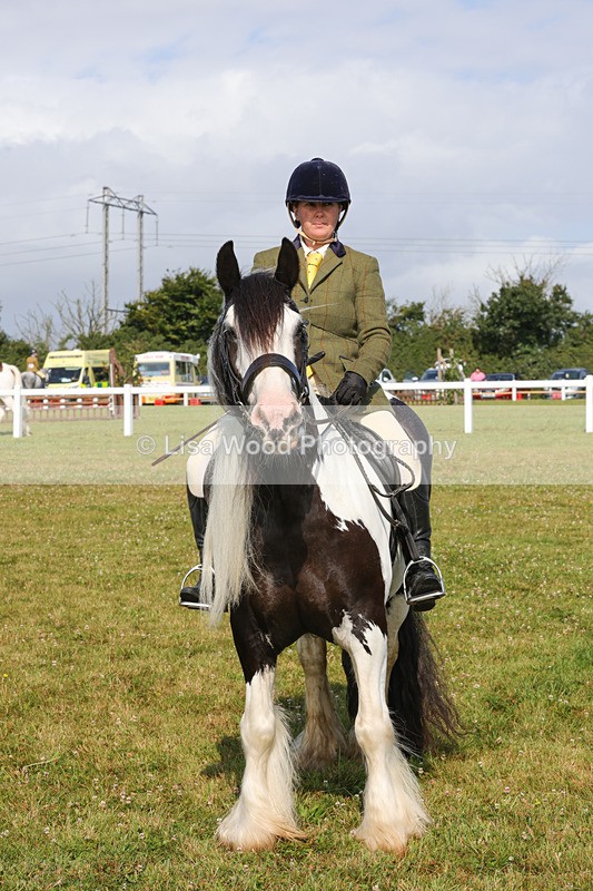 1X9A3416 - Class 28: Ridden Native/Trad Coloured Pony