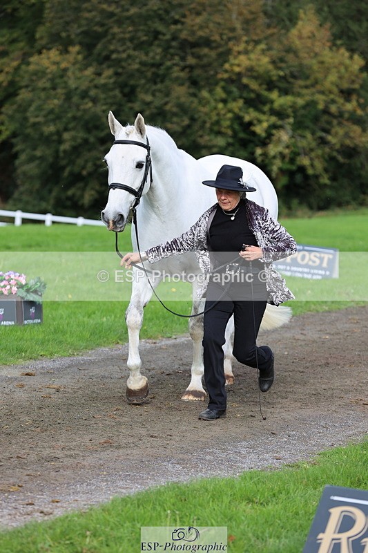 251026A-120710-25899 - G-522-Sue.Parkes Inc Trot Up
