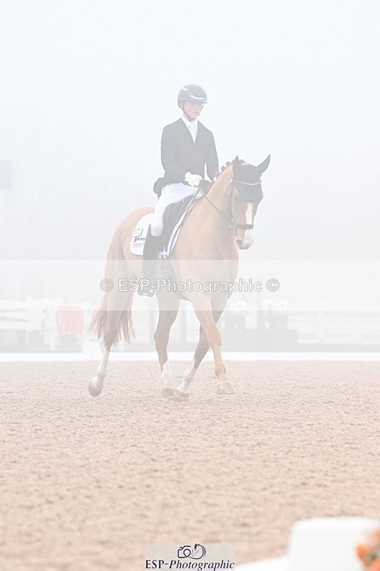 240217A-103234-01108 - 273-Tom.Carter-Newton.Dreamcatcher