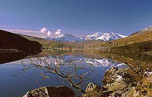 Snowdon Mymber aut snow reflections-tree - Sceniks.com - Snowdonia landscape photographs by Dave O'Shea