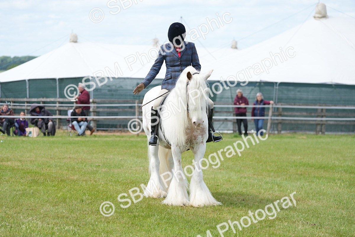 SBM_17189 - Class 107-108 - LIHS BSPS Performance Coloured Horse Pony