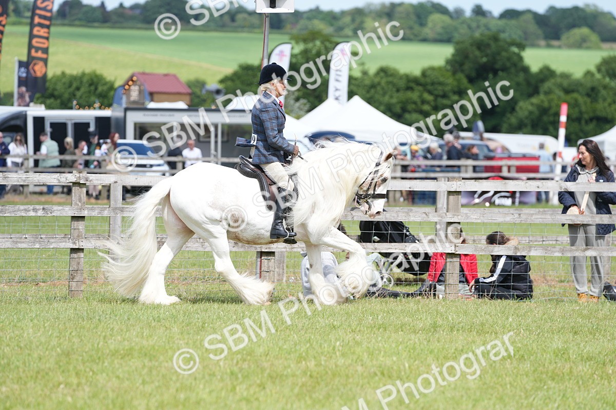 SBM_17178 - Class 107-108 - LIHS BSPS Performance Coloured Horse Pony