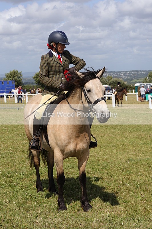 1X9A5562 - Class 38: NPS Novice Ridden Small and Large Breeds