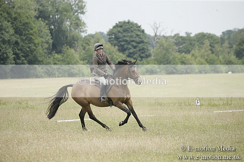 B230619-0621 - Bourne Valley Riding Club Summer Show 23/06/19