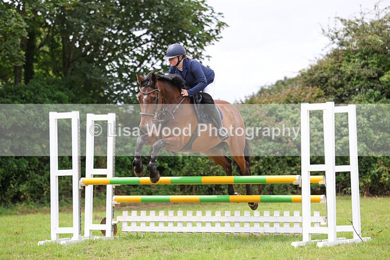 3E7A7376 - Class 5: Senior British Novice/90cm open