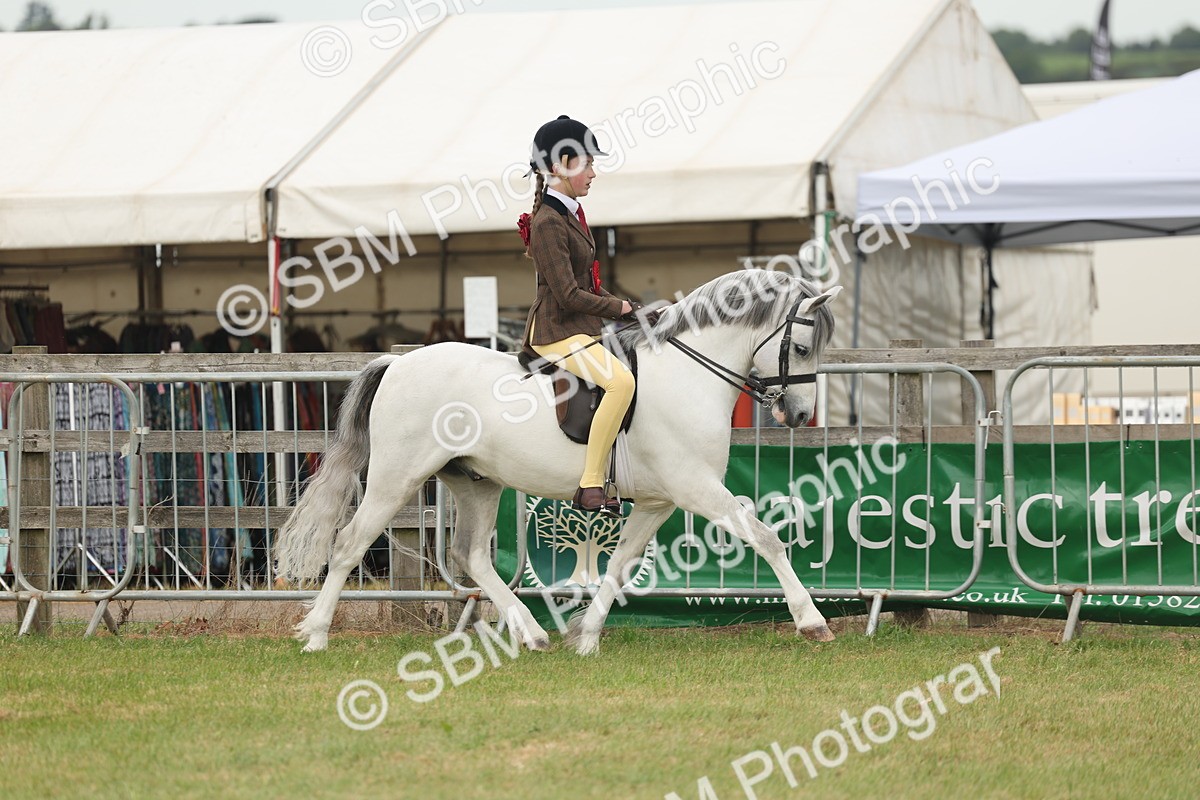SBM_09102 - Class 78-80 - Ridden M&M Non Welsh Ponies