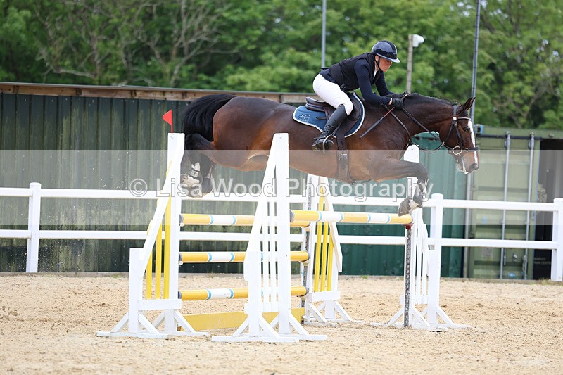 3E7A9580 - Class 9: Senior Foxhunter/1.20 open