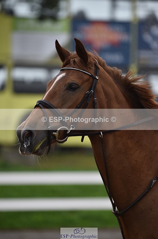 220829A-165414-00319 - 80cm Classes 5a 5b & 6