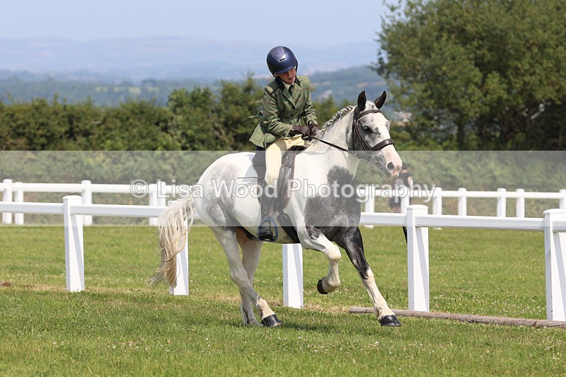 JPP_3386 - Class 22: Working Hunter 70cm