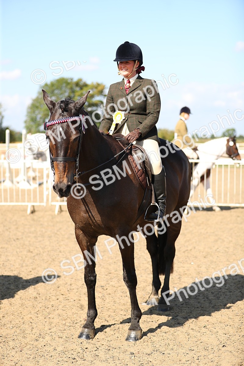 SBM_02404 - Class 43 Ridden Competition Horse/Pony