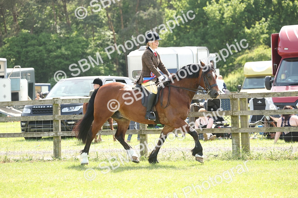 SBM_07745 - Class 26-30 - Mountain and Moorland Ridden