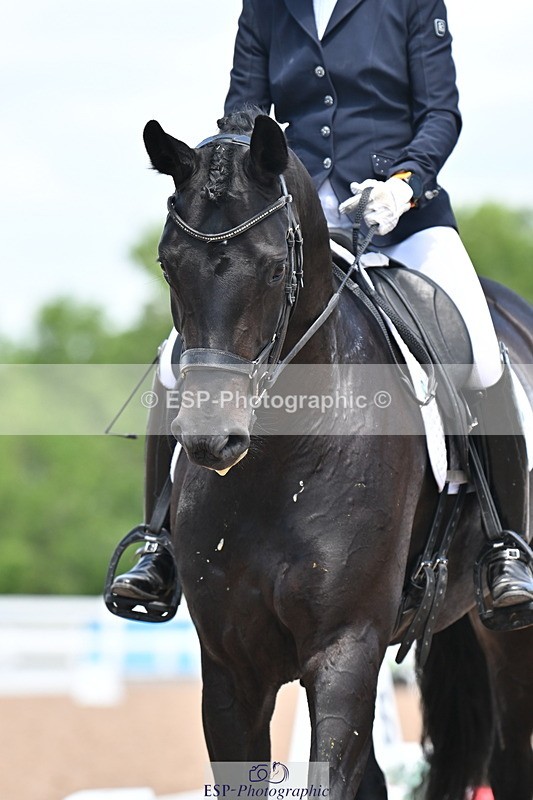 240621A-124714-02243 - Cls 7 BD Elementary 45