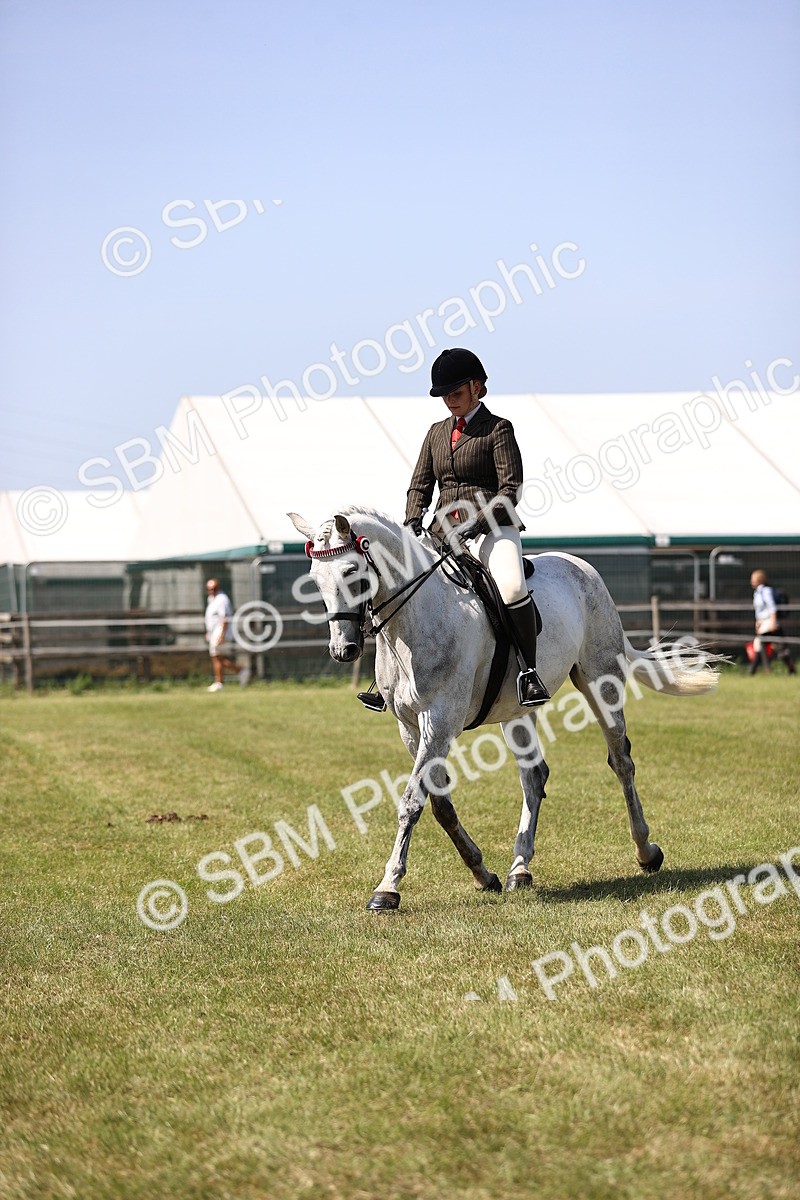 SBM_18018 - Class 81-83 - TSR Ridden Amateur of the Year - Horses