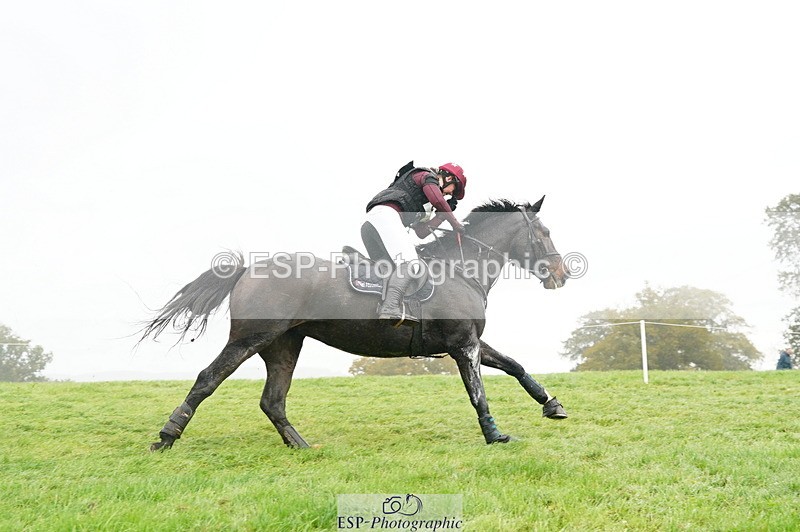 251025A-102814-17095 - D-350-Katie.Timberlake