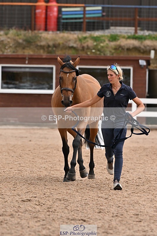 250716-145220-01460 - Trot Up 2.30 to 3.30