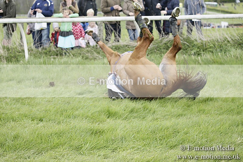 PtP 170417 43 - Old Berks Point-to-Point Lockinge 17/04/17