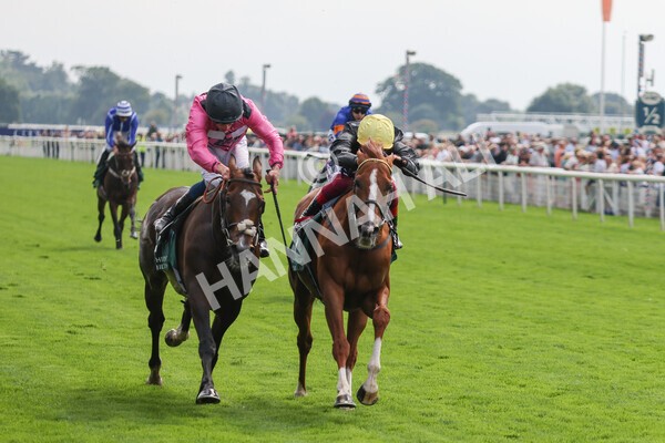 yr20082021r2-51 - Race 2 2.25pm Weatherbys Hamilton Lonsdale Cup (British Champion Series race)