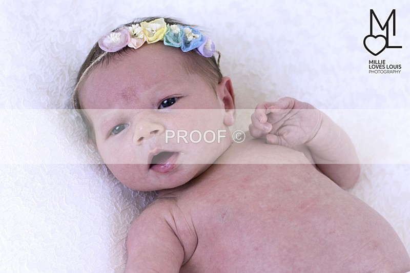 DSC_6837portfolio - Newborn Photoshoots