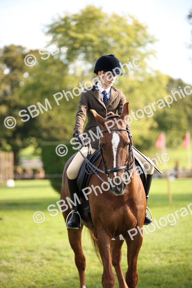 SBM_54295 - S27 - Mature Veteran - Ridden