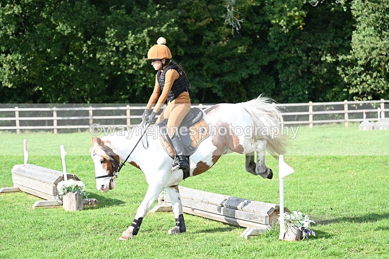 WJ7_3942 - 40cm Time 10:26 to 10:42