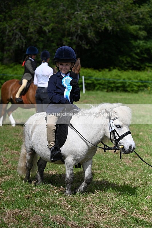 WJ7_0942 - Class 8 First Rally Pony